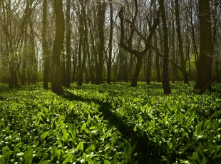 访农户，，，送手艺！ “中国农资”现代农业效劳团队助力秋粮生产