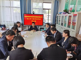 意昂娱乐  举行党史学习教育第五期念书班