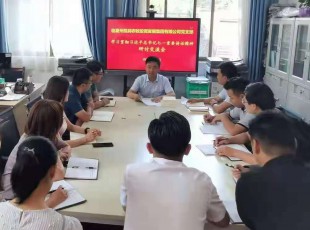 意昂娱乐 召开学习贯彻习近平总书记七一主要讲话精神 钻研交流会